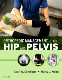 Image of Orthopedic Managemenet of the Hip and Pelvis
